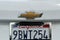 2022 Chevrolet Equinox FWD 4dr LS