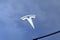 2022 Tesla Model 3 Long Range AWD *Ltd Avail*