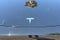 2023 Tesla Model Y Performance AWD
