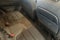 2023 Chevrolet Trailblazer FWD 4dr RS