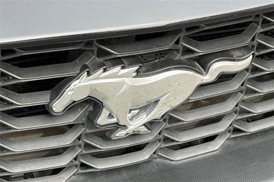 2024 Ford Mustang EcoBoost Premium EcoBoost Premium