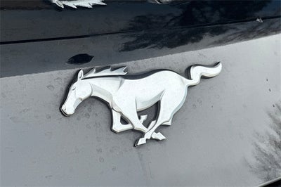 2024 Ford Mustang EcoBoost Premium EcoBoost Premium