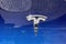2023 Tesla Model Y Standard Range