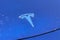 2023 Tesla Model Y Long Range LONG RANGE